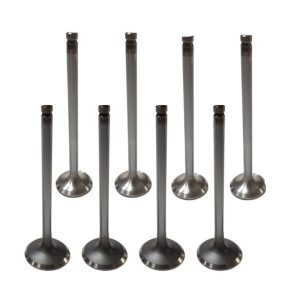 مجموعه سوپاپ پژو 405 XU7 ایساکو