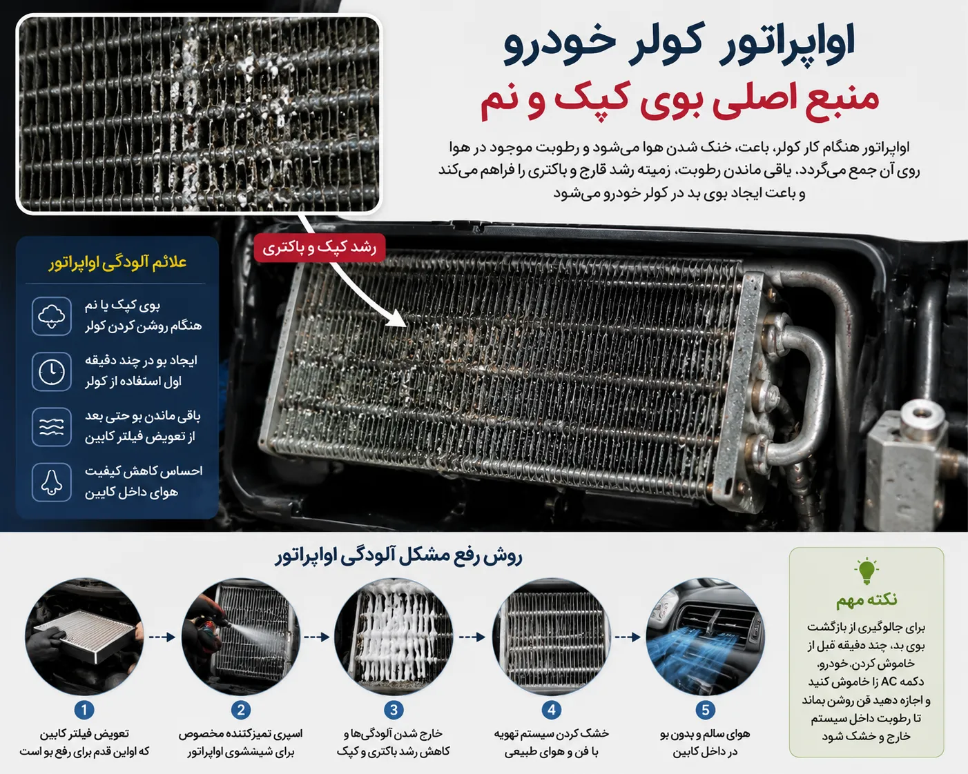 اواپراتور کولر خودرو آلوده و ایجاد بوی کپک و نم در سیستم تهویه