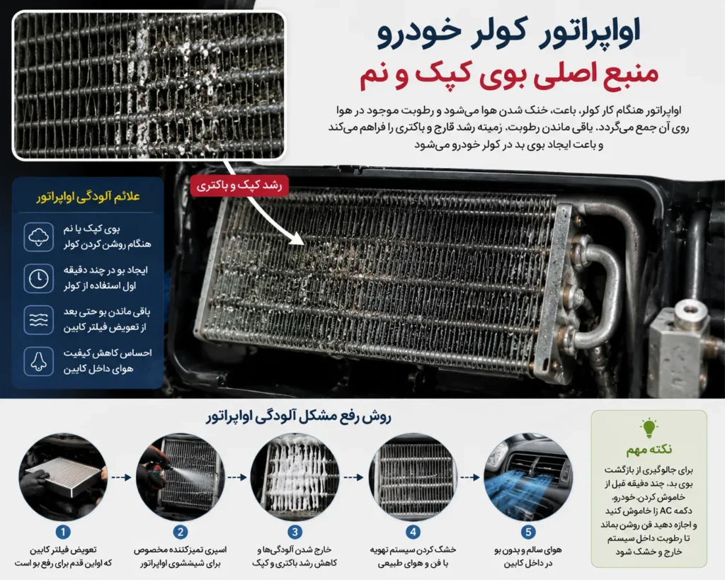 اواپراتور کولر خودرو آلوده و ایجاد بوی کپک و نم در سیستم تهویه