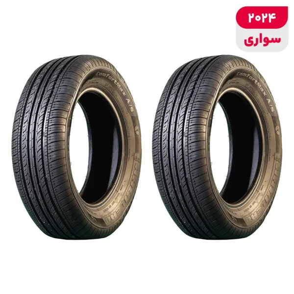 لاستیک خودرو رادیال هابیلد مدل H202 با کاربری سواری و سایز رینگ 14 اینچ، فاق 60 درصد پهنا و پهنای 205 میلی‌متر، شاخص تحمل وزن 88 و شاخص سرعت H (حداکثر سرعت 210 کیلومتر بر ساعت)، ساخت چین، دارای تایر تیوبلس، 2 حلقه